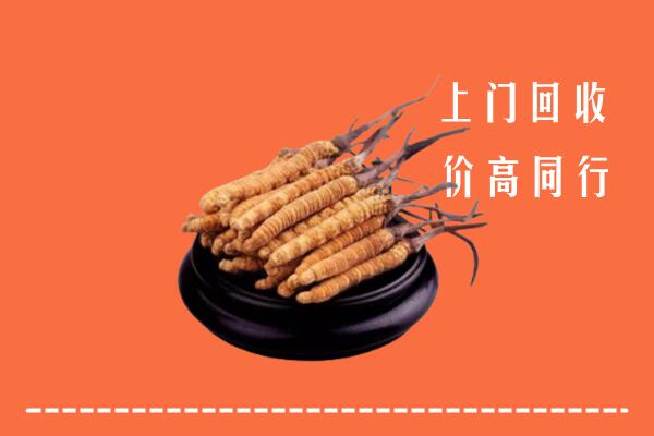 高价求购：易市回收散虫草