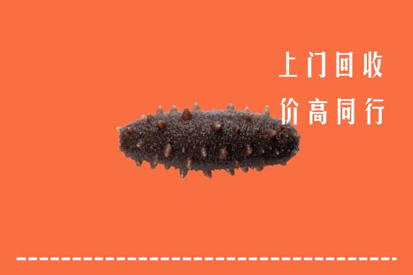 高价求购：易市回收海参