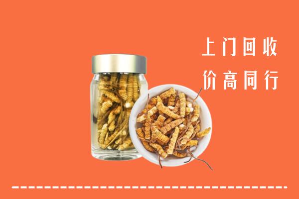 易市回收冬虫夏草